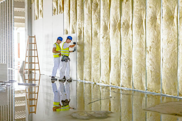 Best Fiberglass Insulation  in Stevens Point, WI